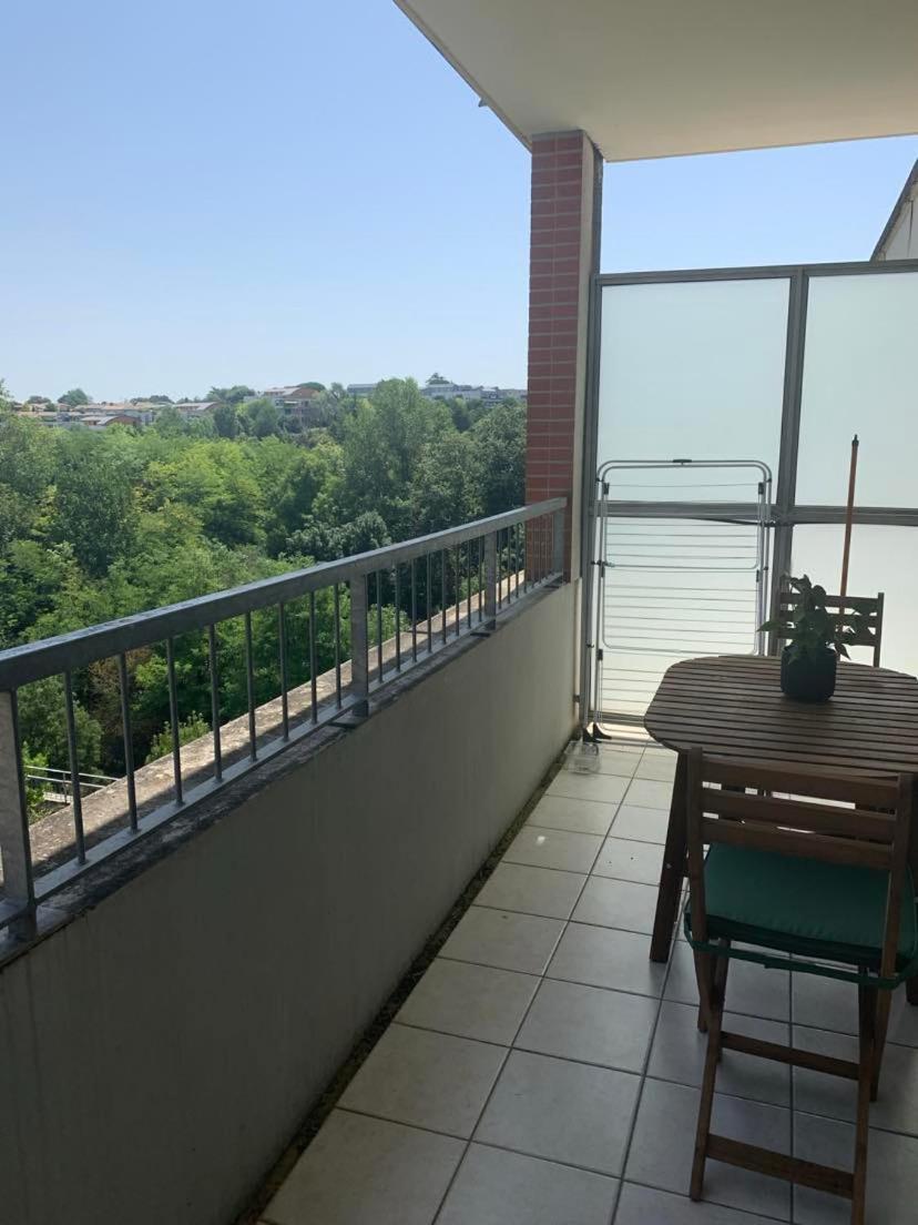 Le Petit Bruxelles Au Calme Apartment Тулуза Екстериор снимка