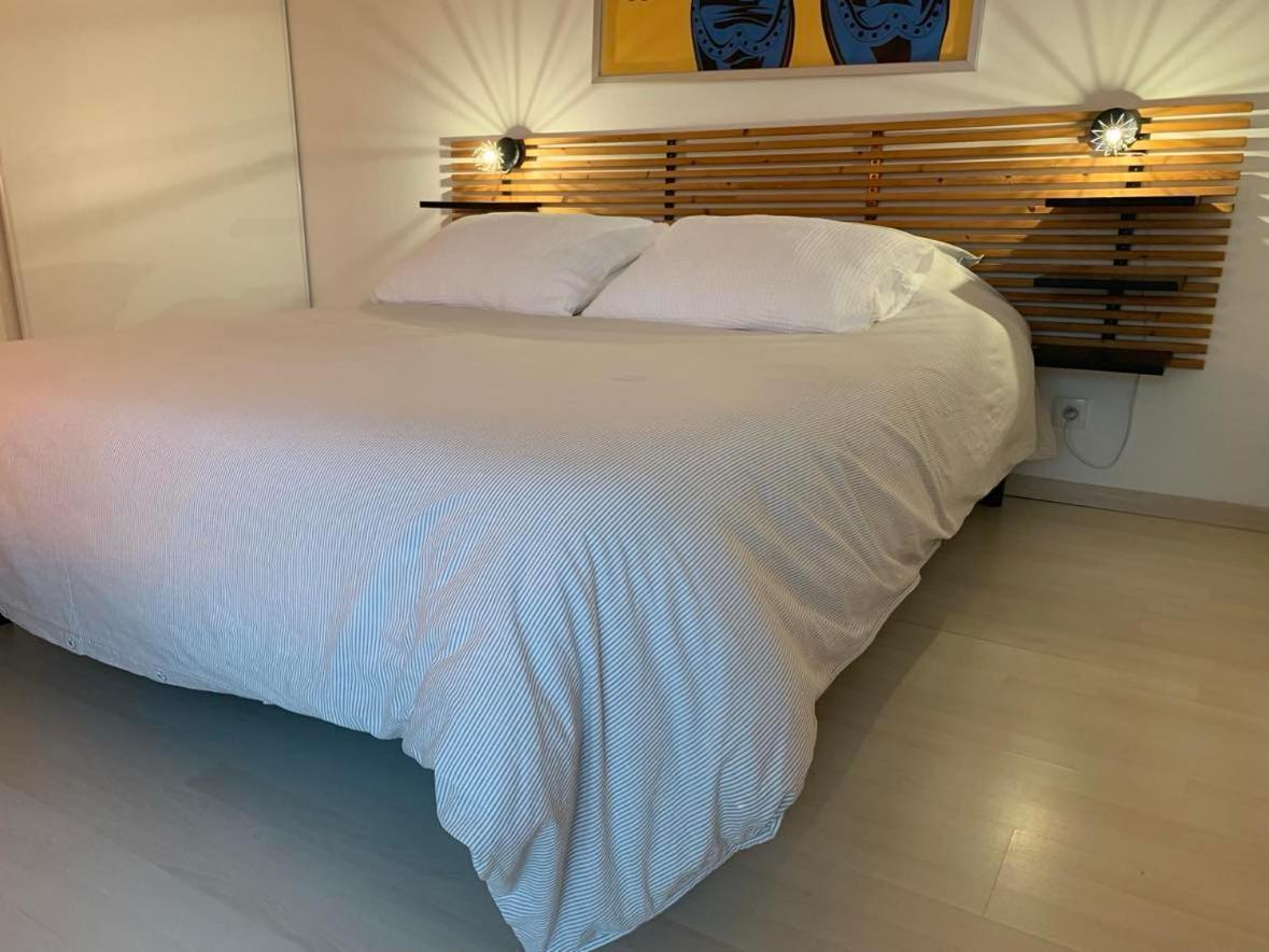 Le Petit Bruxelles Au Calme Apartment Тулуза Екстериор снимка